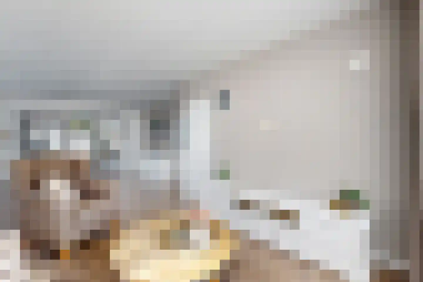 Frans Halsstraat 19 Fijnaart thumbnail 15