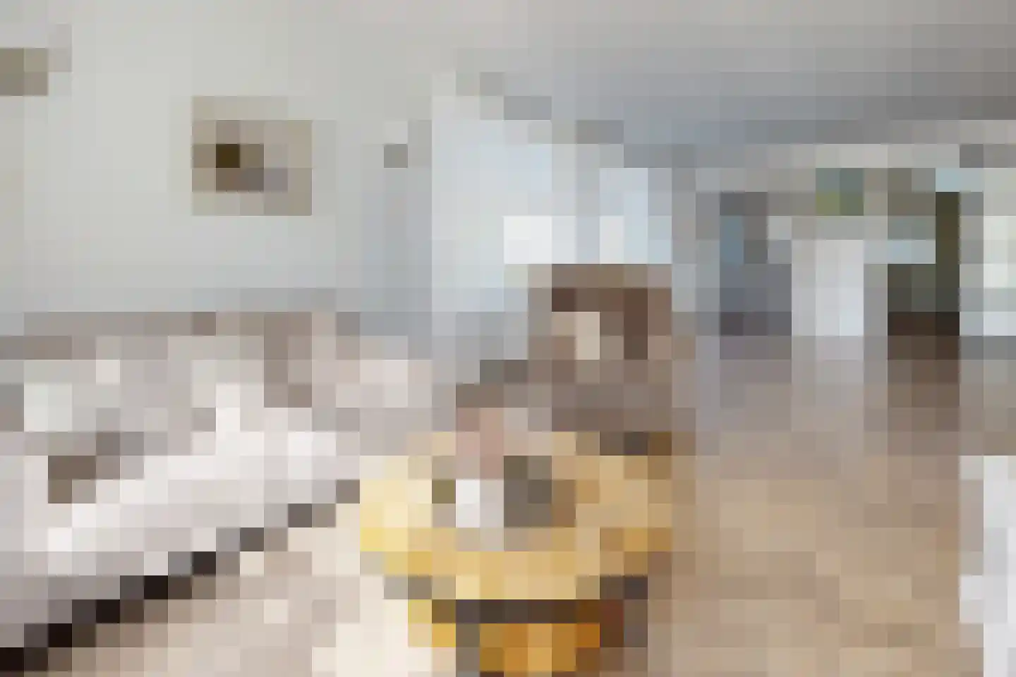 Frans Halsstraat 19 Fijnaart thumbnail 16