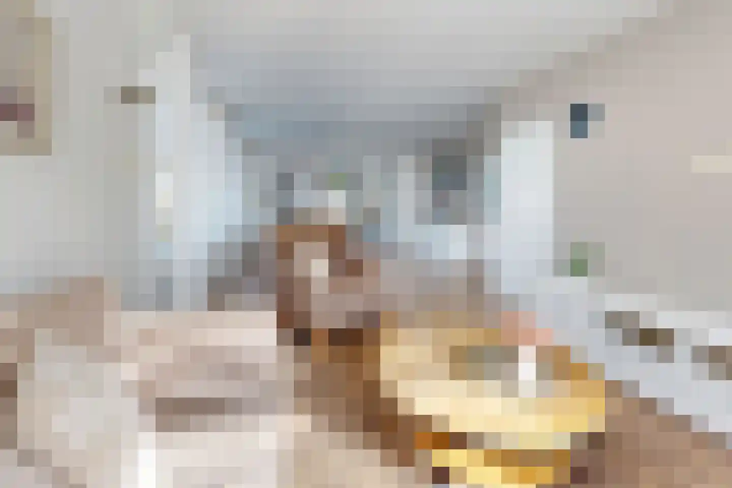 Frans Halsstraat 19 Fijnaart thumbnail 17
