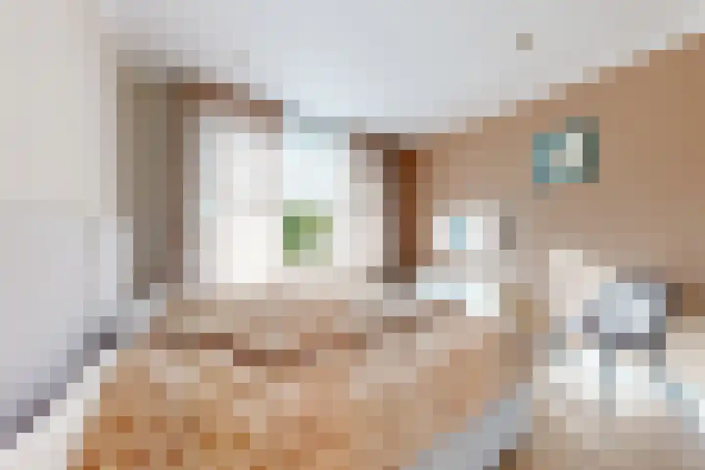 Frans Halsstraat 19 Fijnaart thumbnail 32