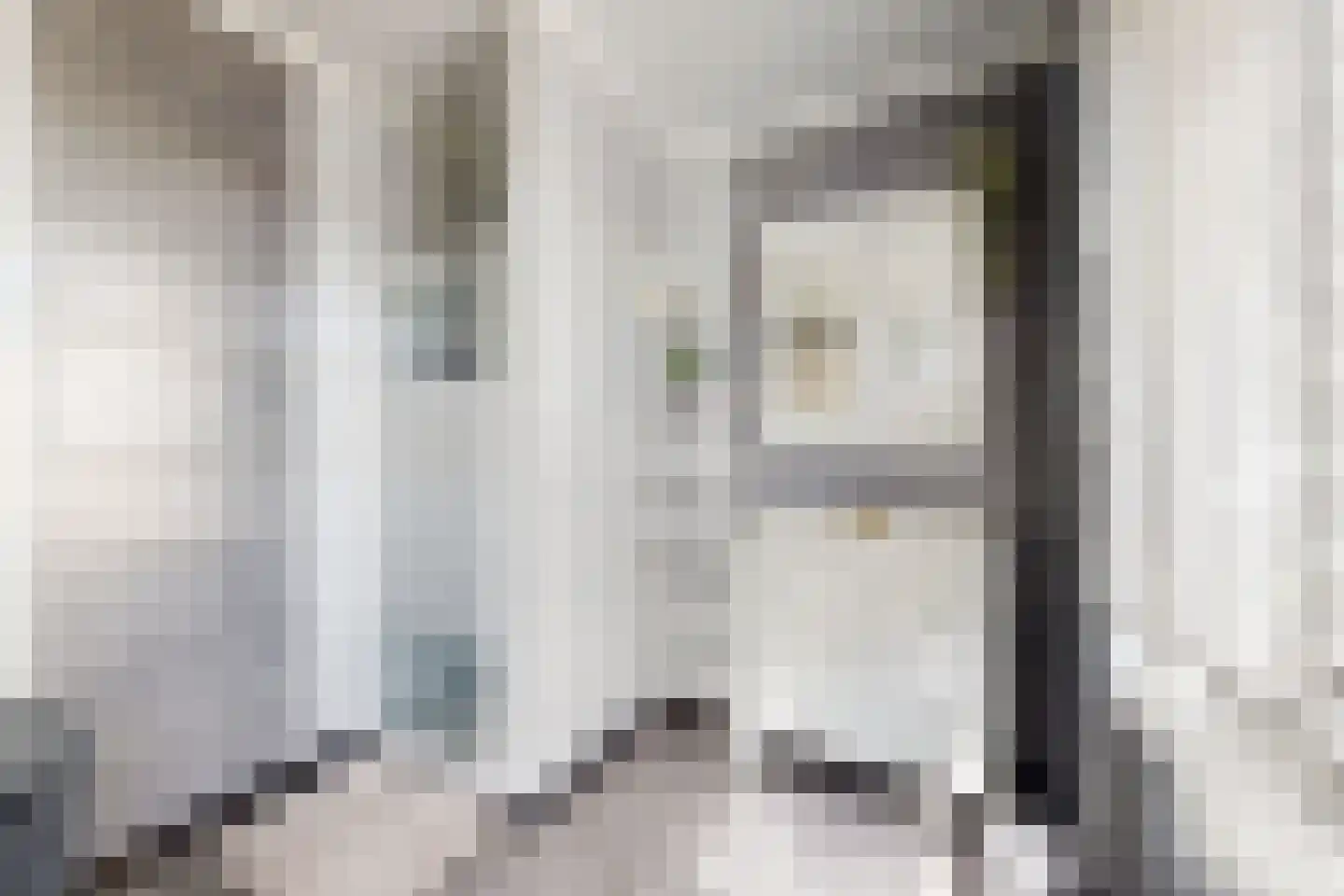 Frans Halsstraat 19 Fijnaart thumbnail 35