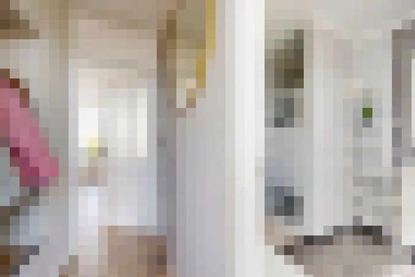 Frans Halsstraat 19 Fijnaart thumbnail 8