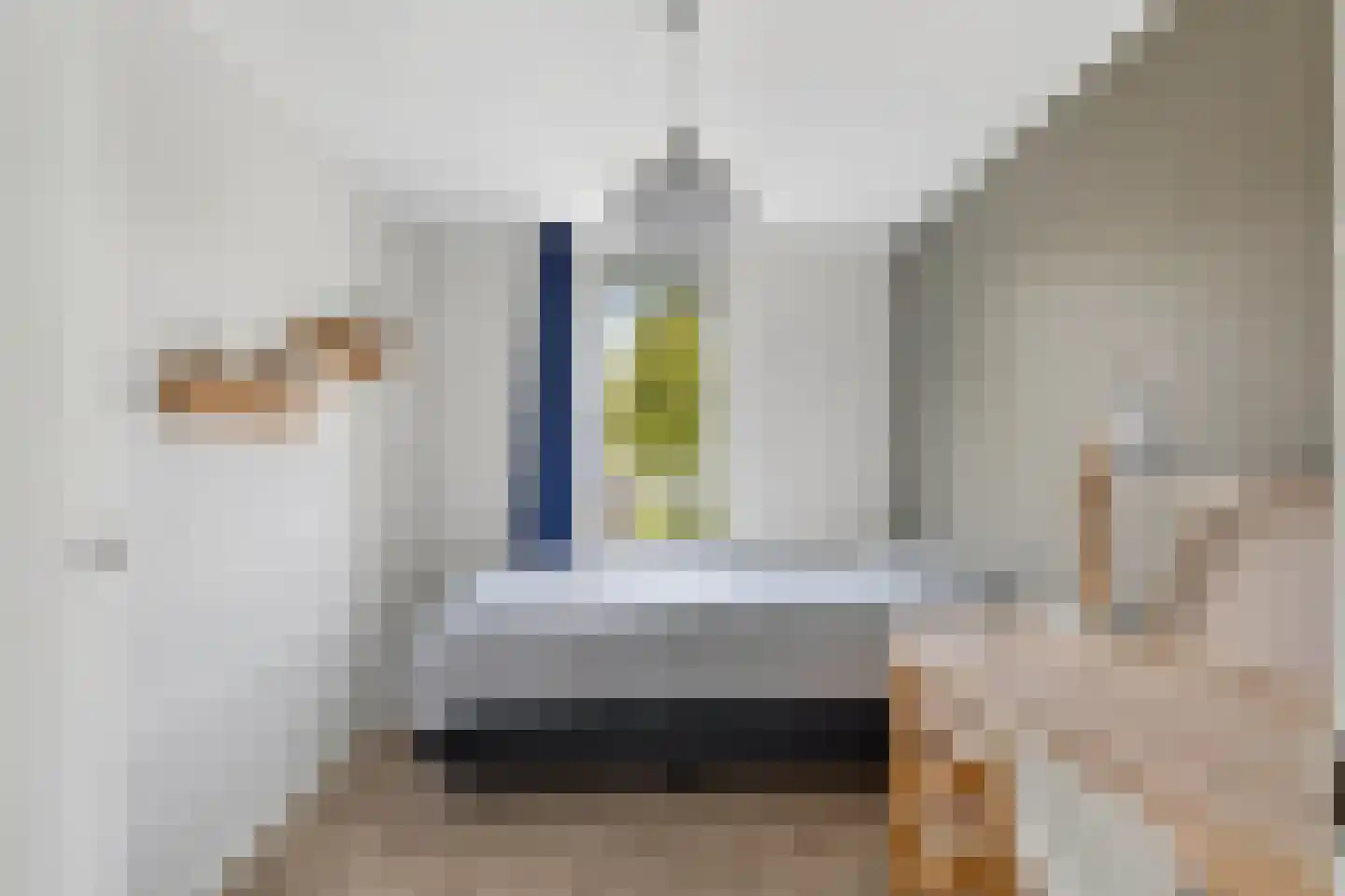 Frans Halsstraat 19 Schagen thumbnail 20