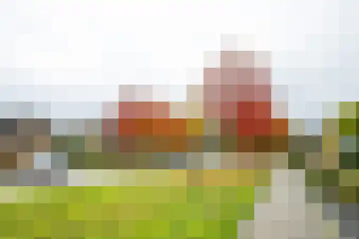 Frans Halsstraat 2 I Winterswijk thumbnail 6