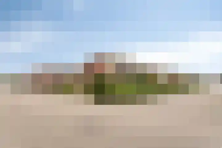 Frans Halsstraat 20 Groenlo thumbnail 43