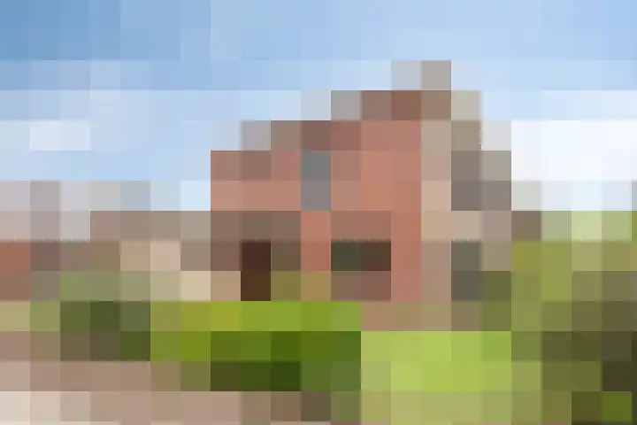 Frans Halsstraat 20 Groenlo thumbnail 6