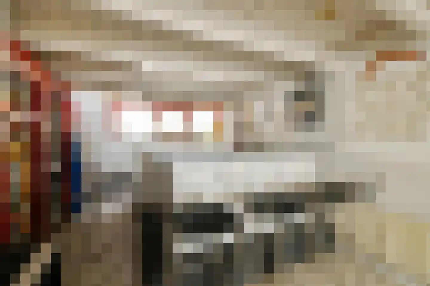 Frans Halsstraat 20 Haarlem thumbnail 39