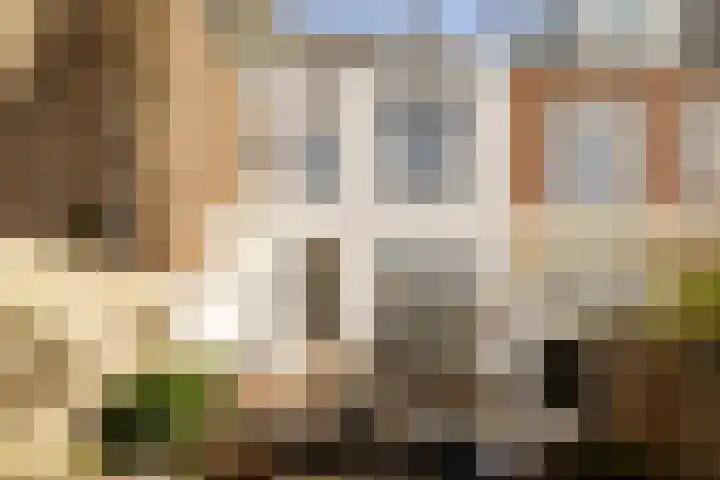 Frans Halsstraat 20 Haarlem thumbnail 52