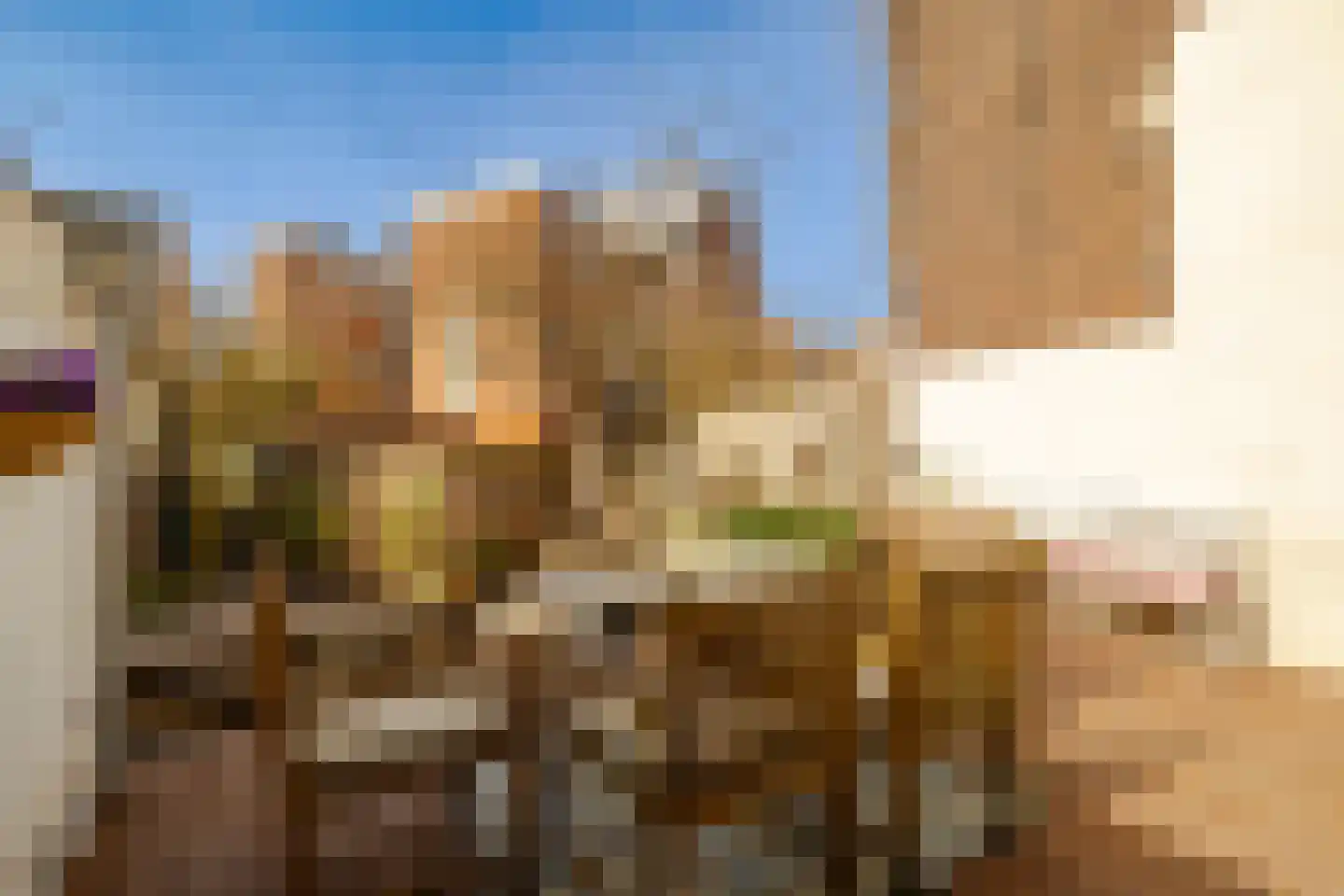 Frans Halsstraat 20 Haarlem thumbnail 55