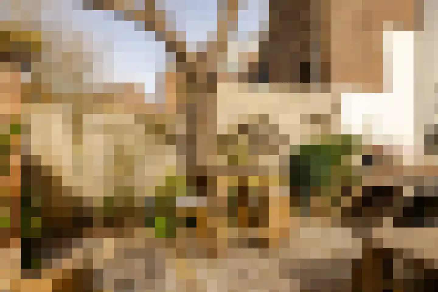 Frans Halsstraat 20 Haarlem thumbnail 58