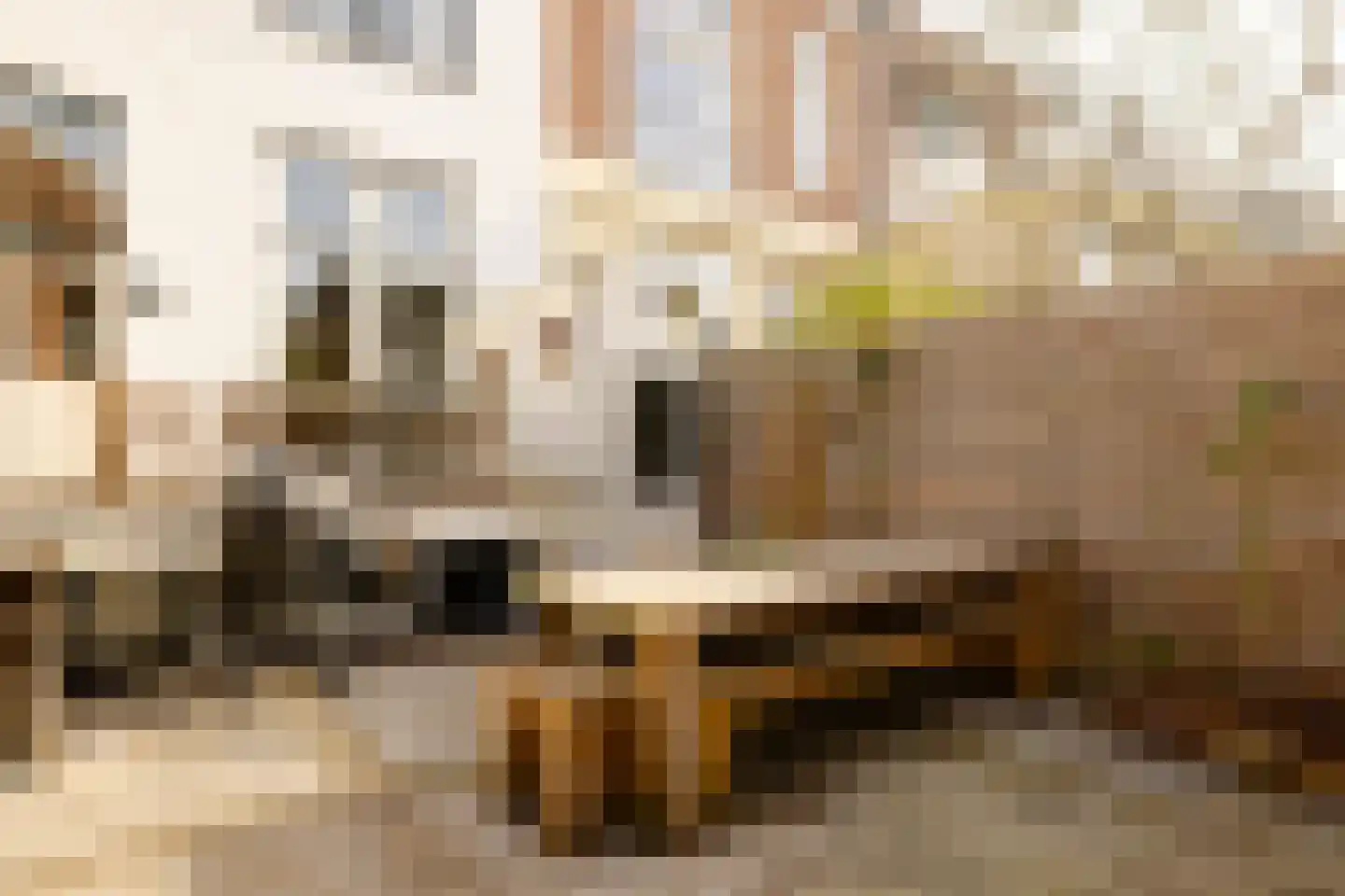 Frans Halsstraat 20 Haarlem thumbnail 59