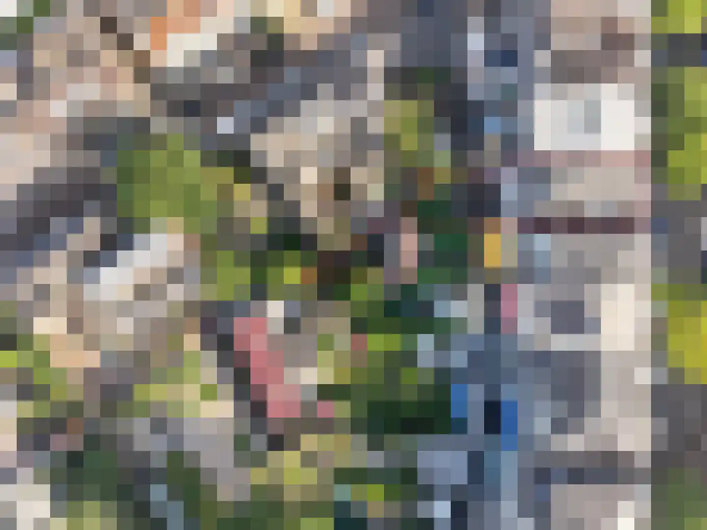 Frans Halsstraat 20 Haarlem thumbnail 6
