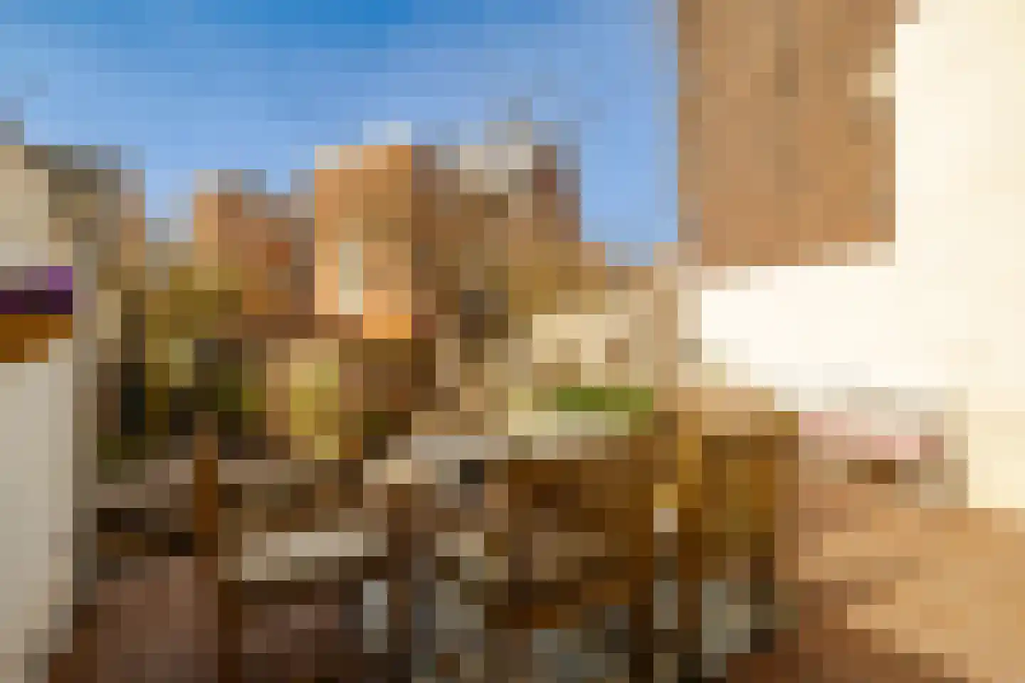 Frans Halsstraat 20 Haarlem thumbnail 60