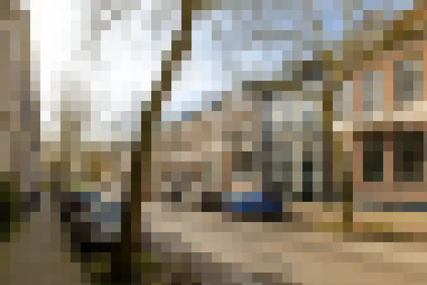 Frans Halsstraat 20 Haarlem thumbnail 65