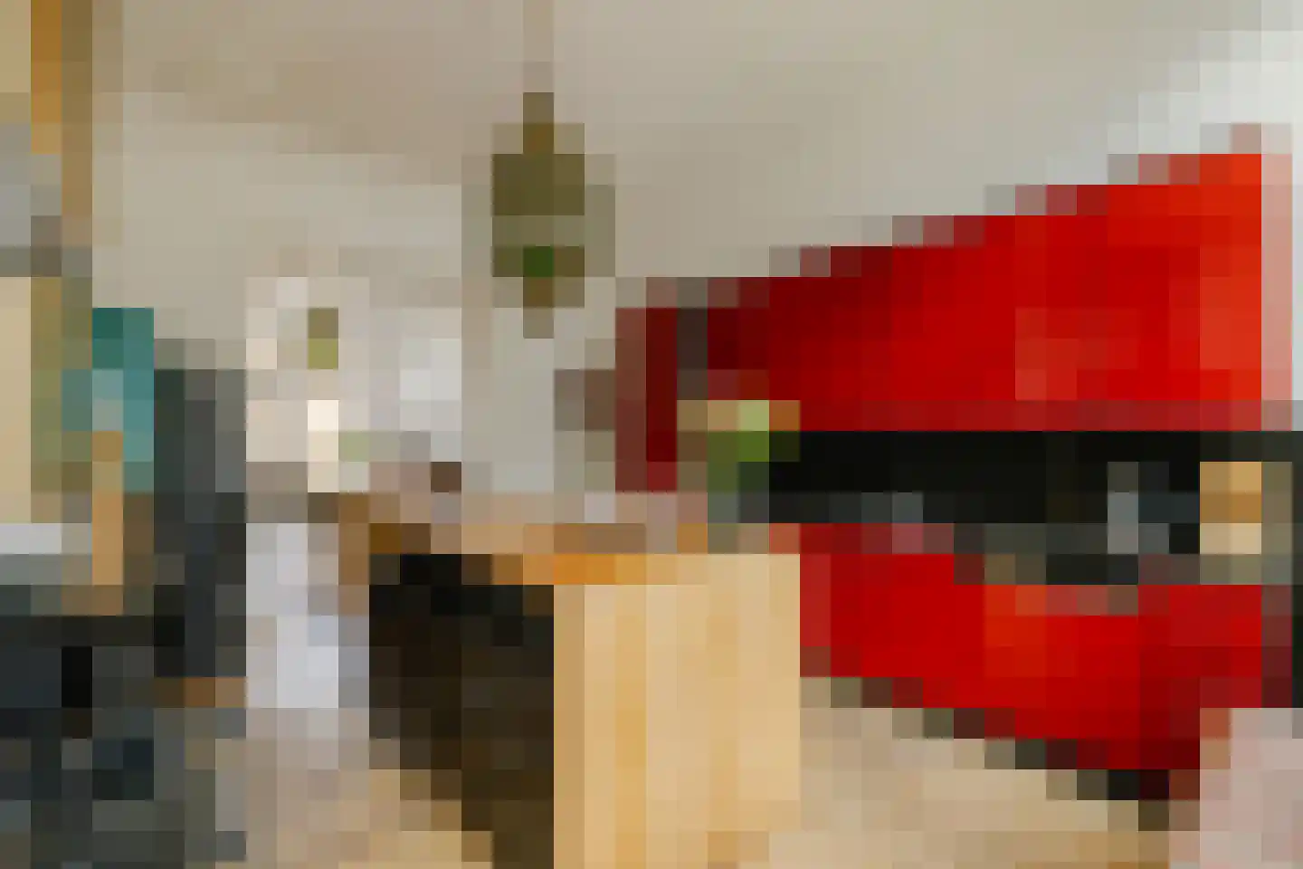Frans Halsstraat 20 Haarlem thumbnail 8