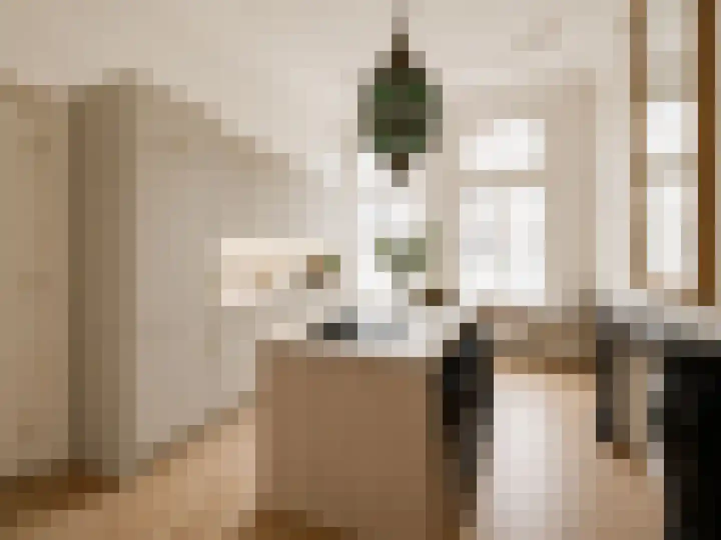 Frans Halsstraat 20 Haarlem thumbnail 8