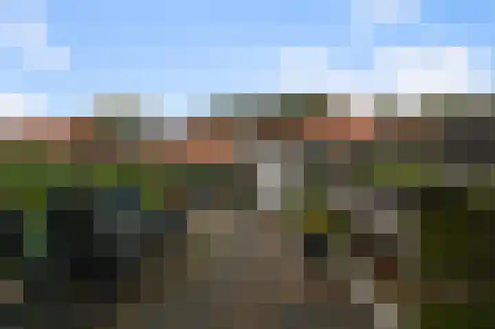 Frans Halsstraat 20 Wormerveer thumbnail 11