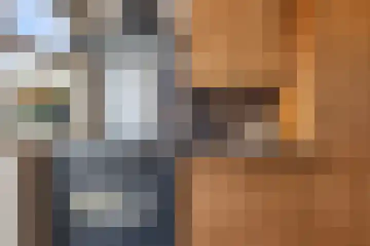 Frans Halsstraat 20 Wormerveer thumbnail 8