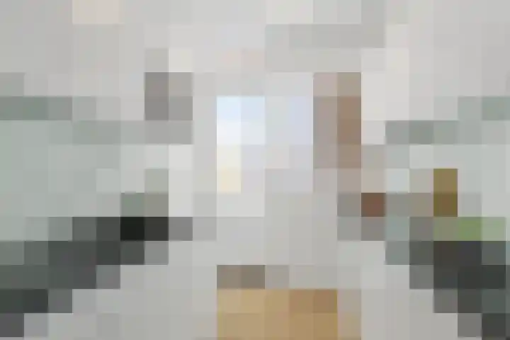 Frans Halsstraat 22 A Spijkenisse thumbnail 10