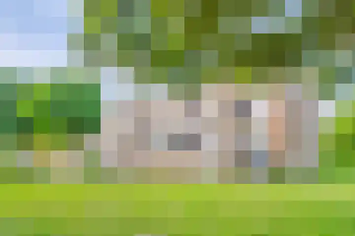 Frans Halsstraat 22 A Spijkenisse thumbnail 24