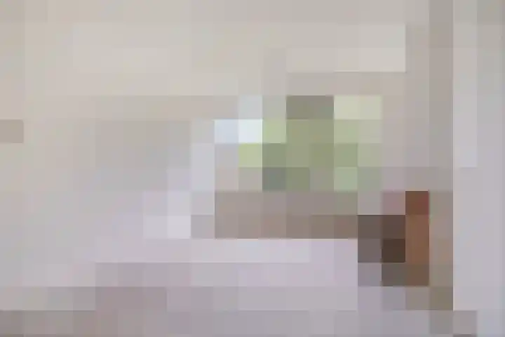 Frans Halsstraat 22 A Spijkenisse thumbnail 4