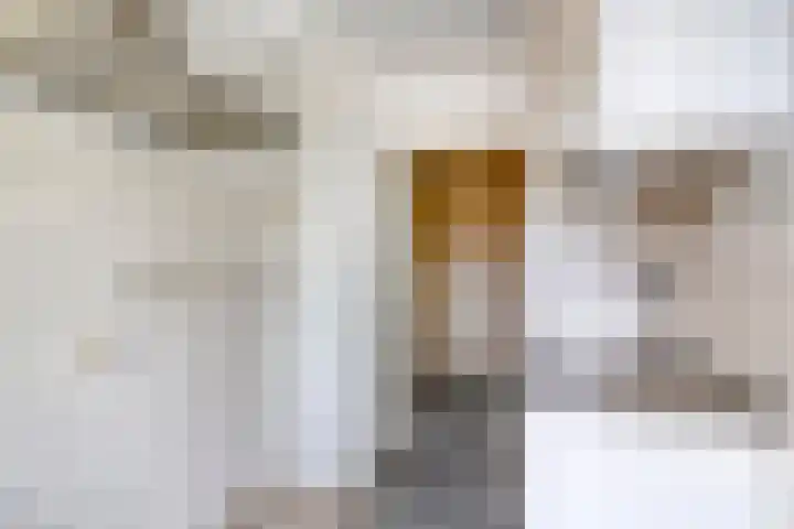 Frans Halsstraat 22 A Spijkenisse thumbnail 8