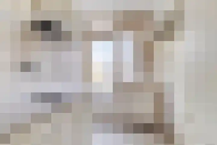 Frans Halsstraat 22 A Spijkenisse thumbnail 9