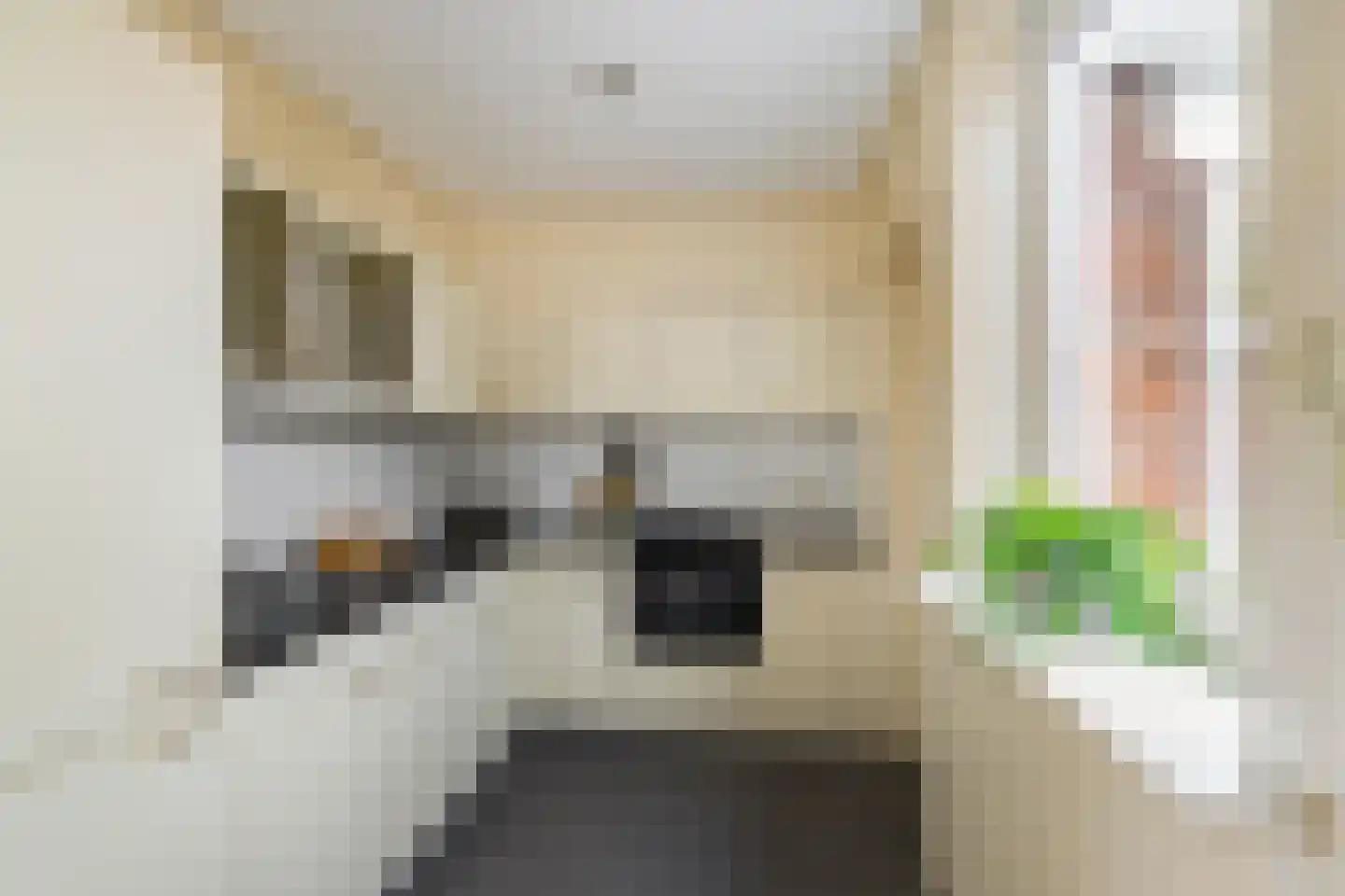 Frans Halsstraat 22 Hoogezand thumbnail 12