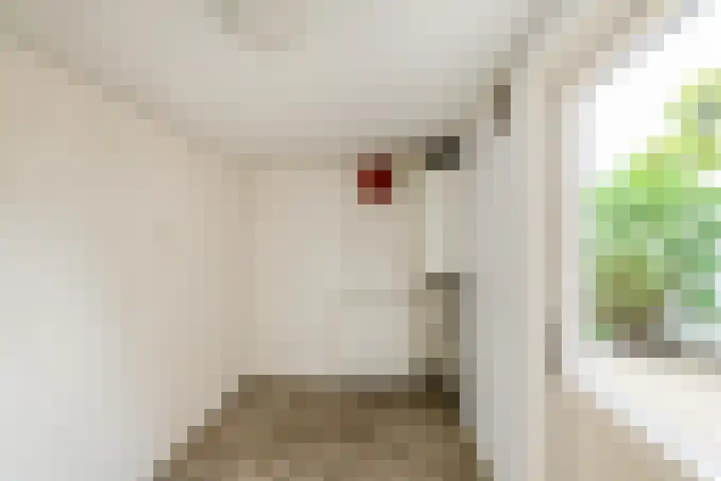 Frans Halsstraat 22 Hoogezand thumbnail 15