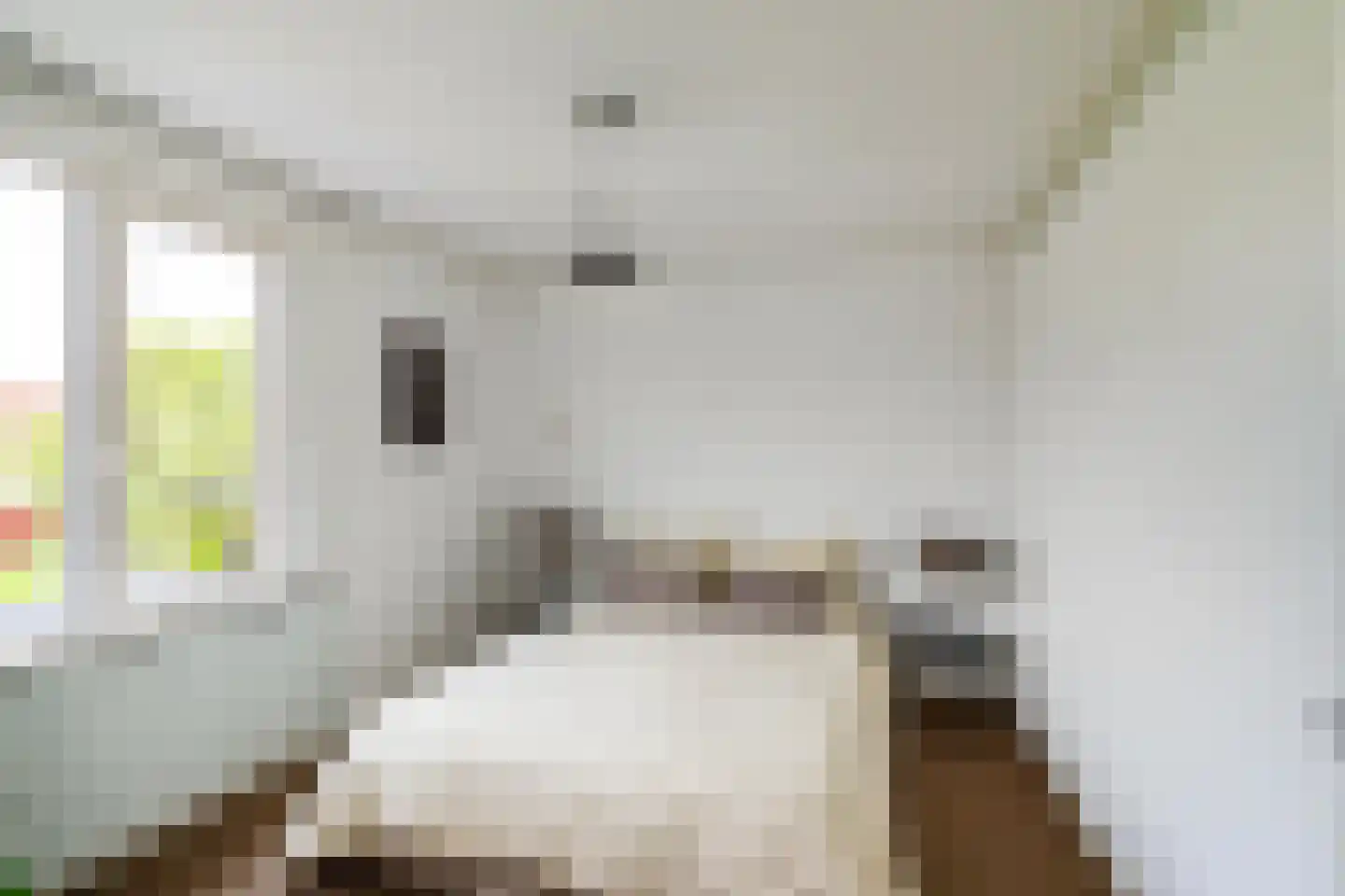 Frans Halsstraat 22 Hoogezand thumbnail 21