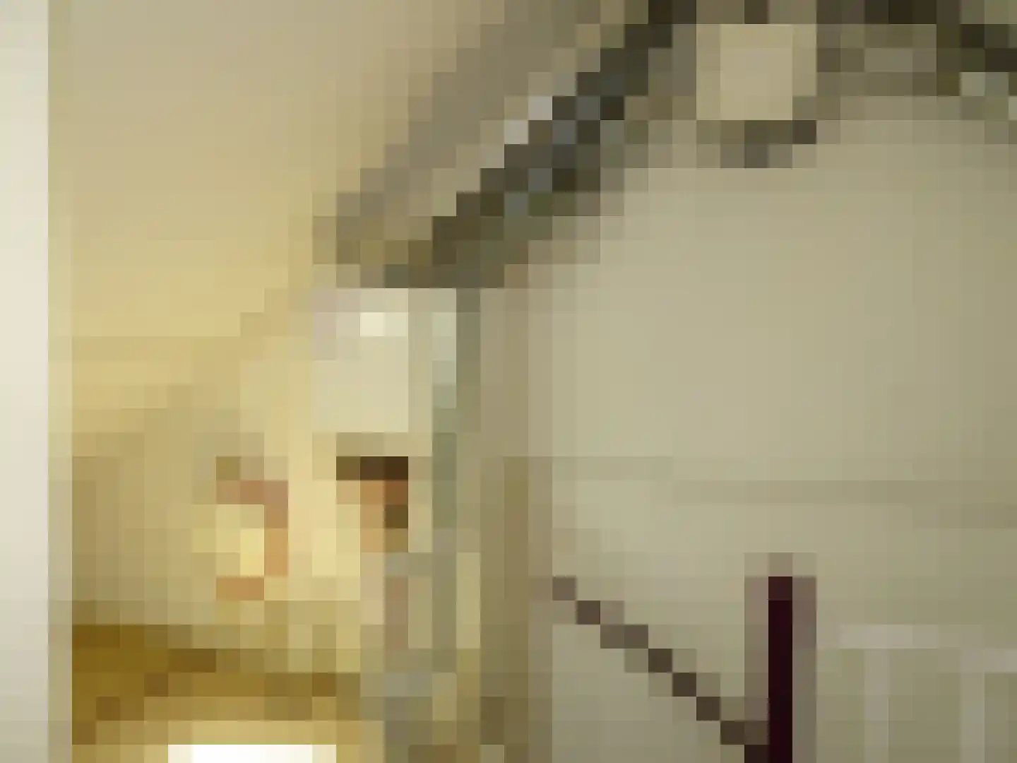 Frans Halsstraat 23 Schagen thumbnail 21