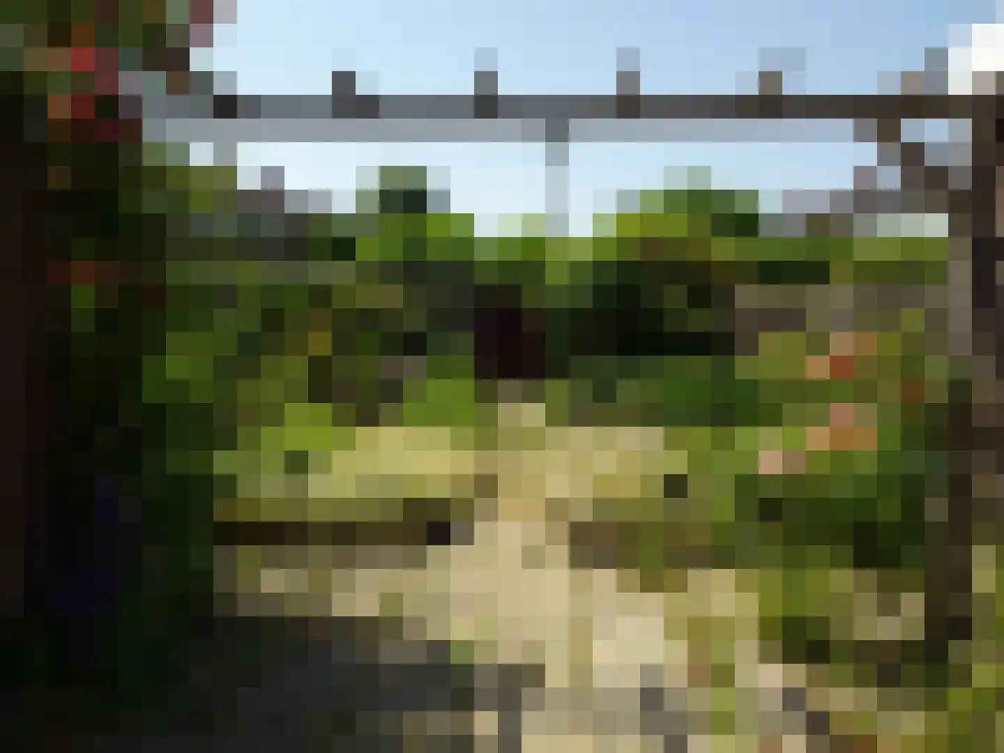Frans Halsstraat 23 Schagen thumbnail 24
