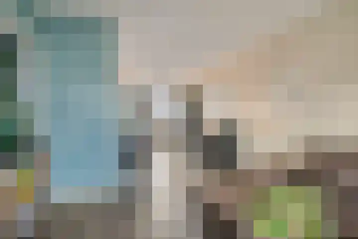 Frans Halsstraat 24 B Spijkenisse thumbnail 4