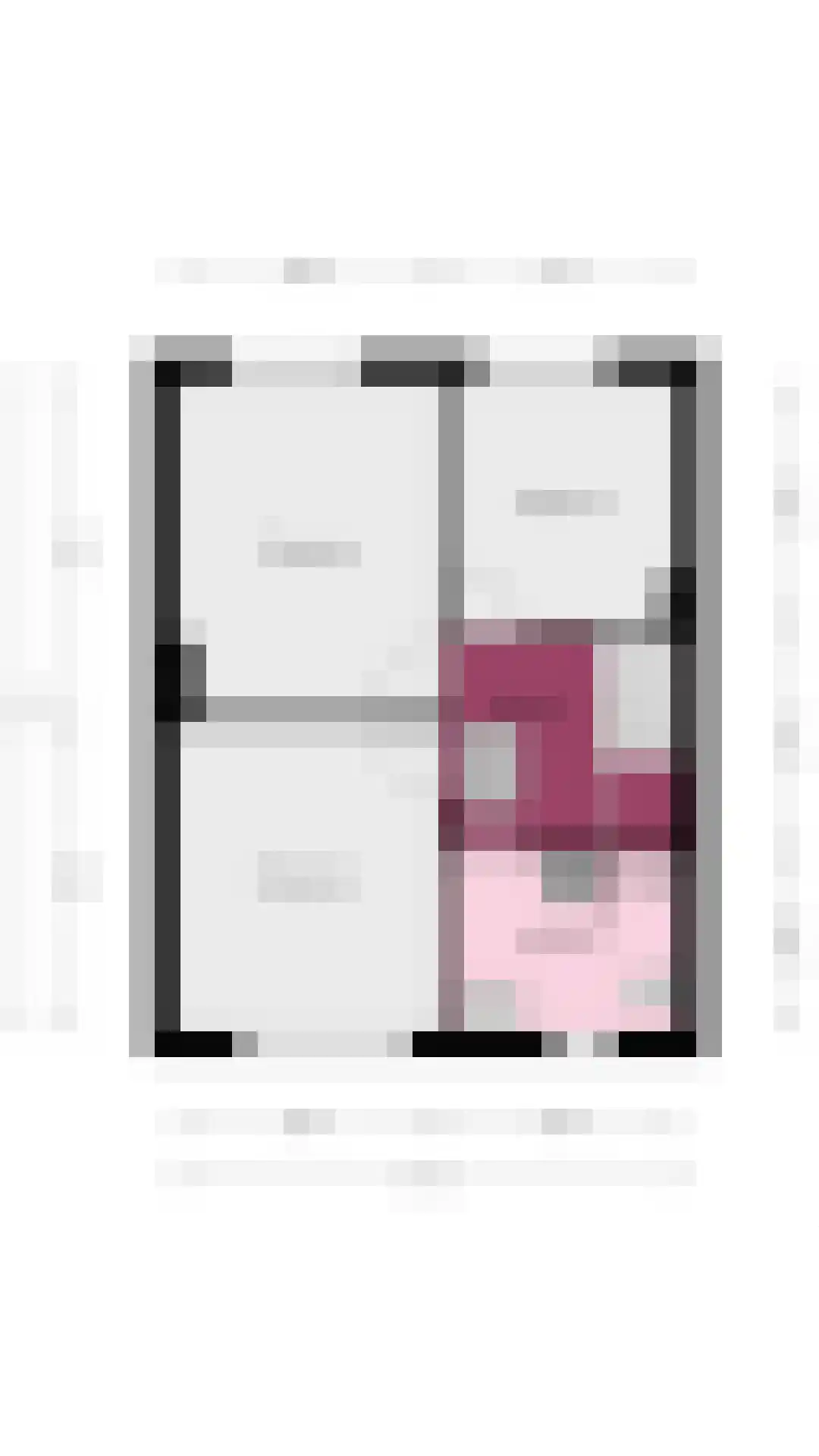 Frans Halsstraat 24 Coevorden thumbnail 33
