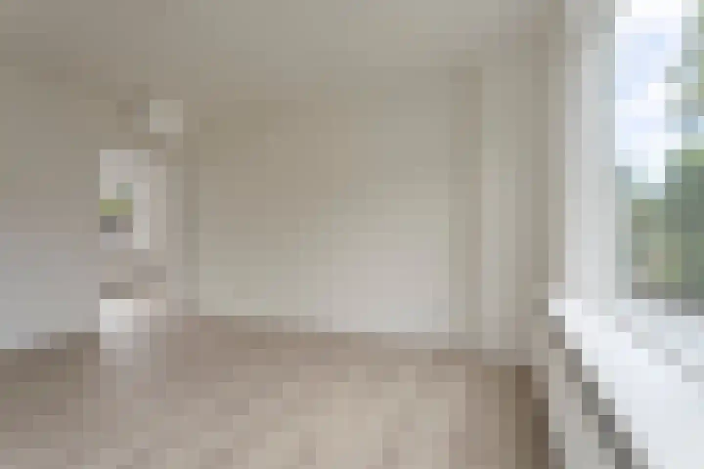 Frans Halsstraat 24 Coevorden thumbnail 5