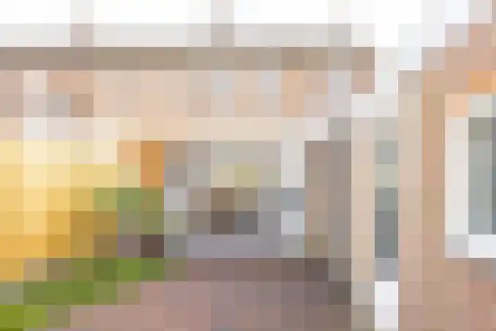 Frans Halsstraat 24 Geleen thumbnail 32