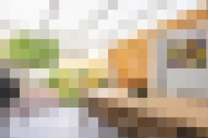Frans Halsstraat 24 Geleen thumbnail 33