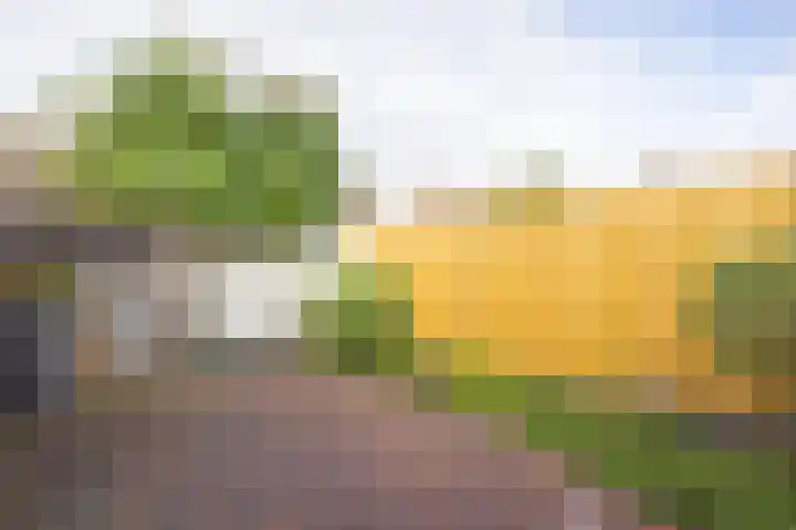 Frans Halsstraat 24 Geleen thumbnail 36