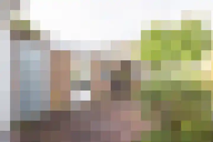 Frans Halsstraat 24 Geleen thumbnail 37