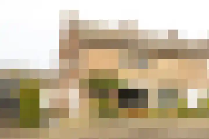 Frans Halsstraat 24 Geleen thumbnail 44