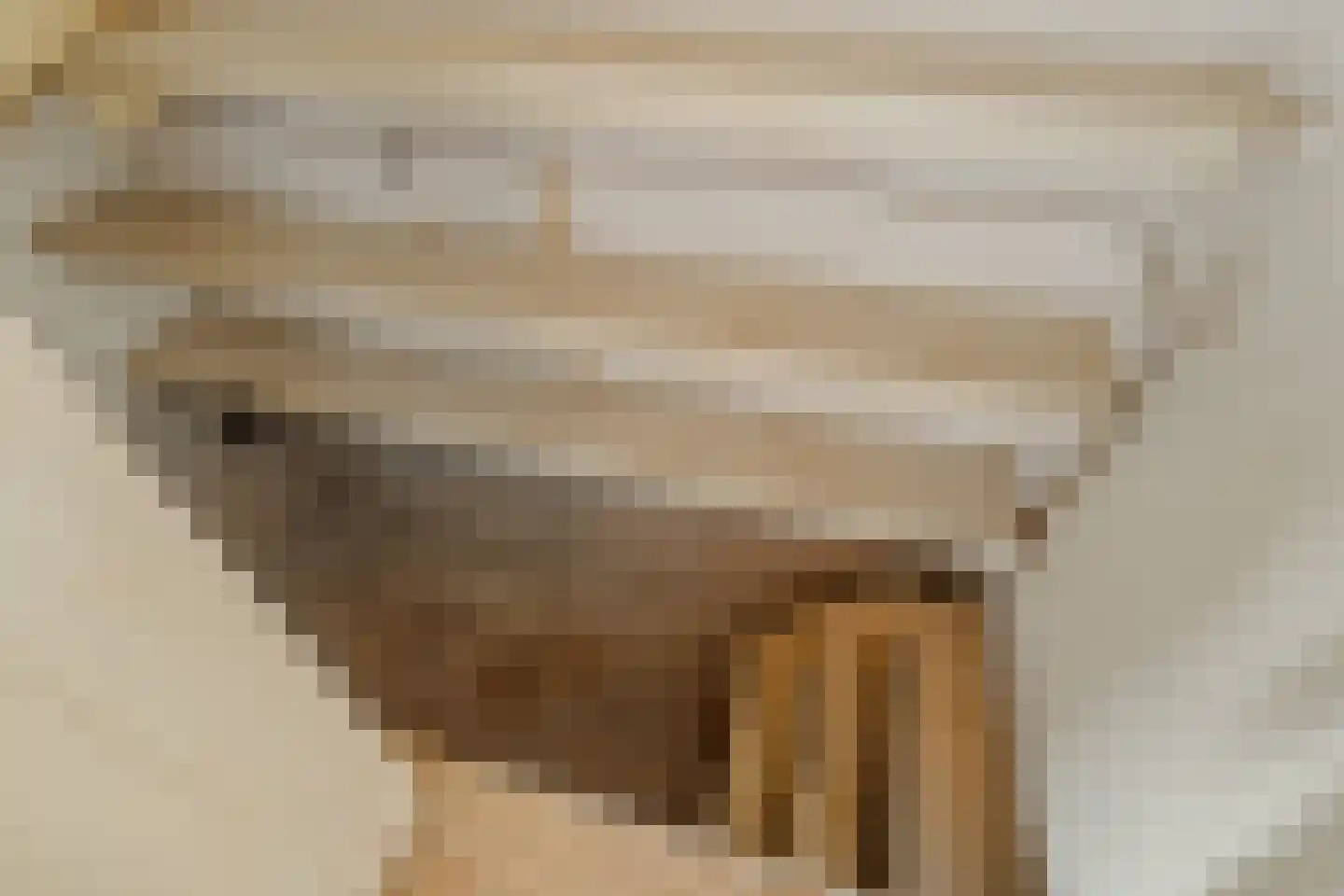 Frans Halsstraat 24 Krimpen aan de Lek thumbnail 16
