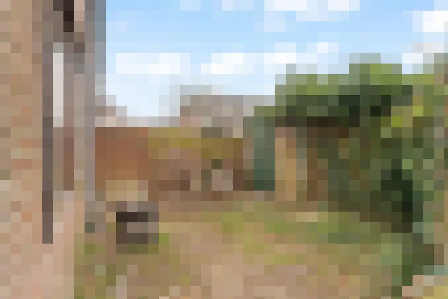Frans Halsstraat 24 Krimpen aan de Lek thumbnail 4
