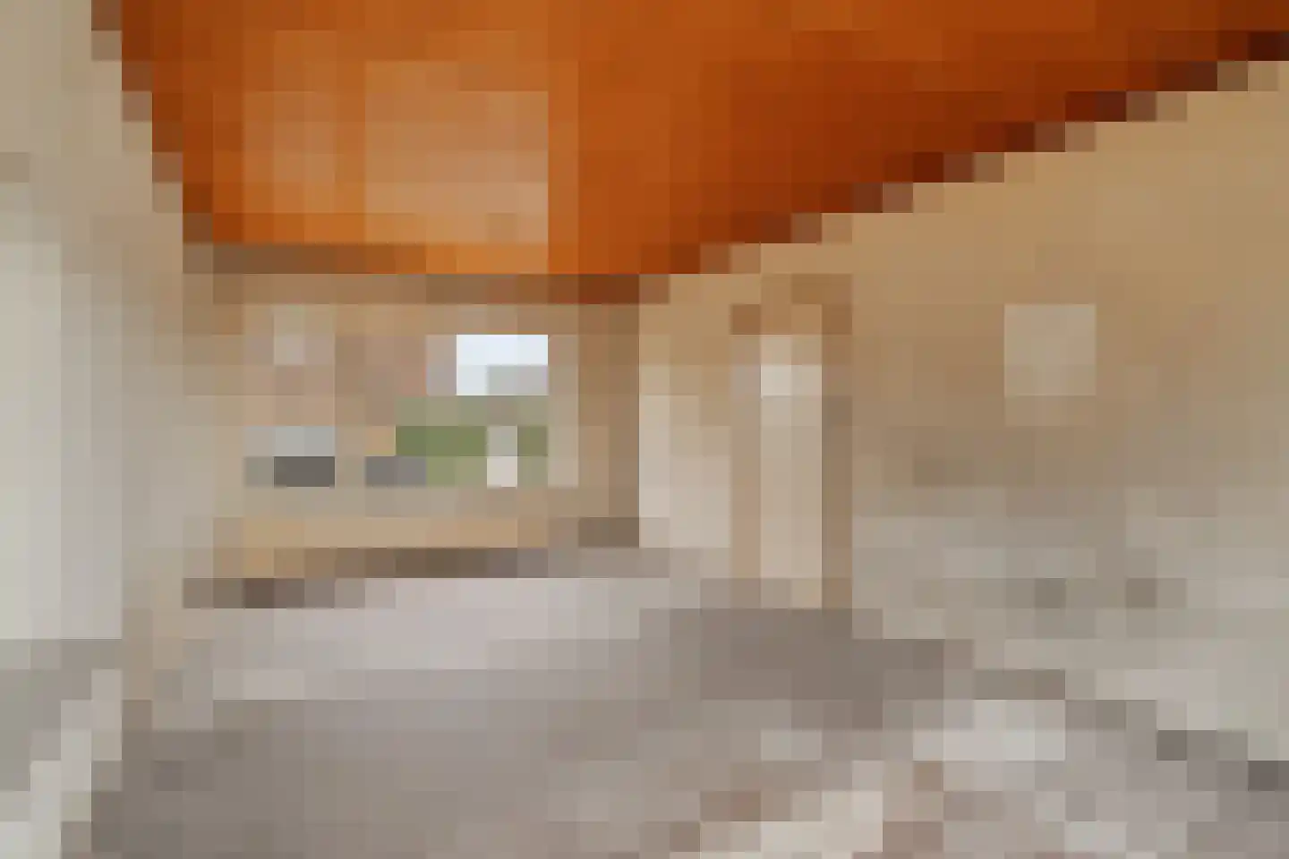 Frans Halsstraat 24 Krimpen aan de Lek thumbnail 6