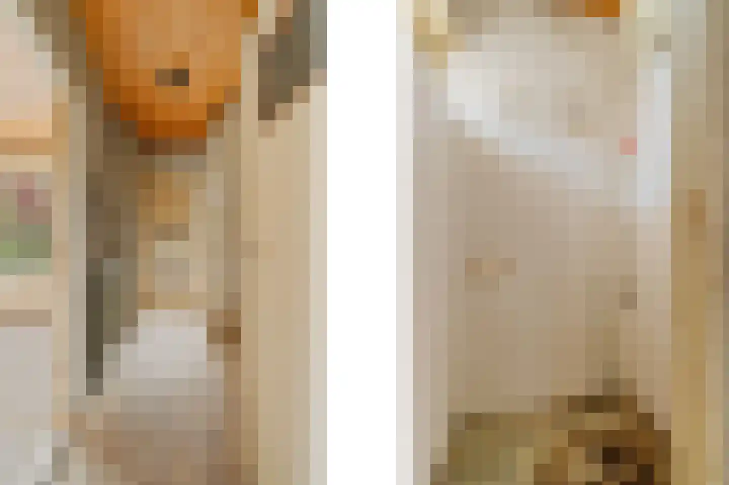 Frans Halsstraat 24 Krimpen aan de Lek thumbnail 8