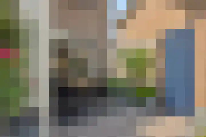Frans Halsstraat 25 Heesch thumbnail 36