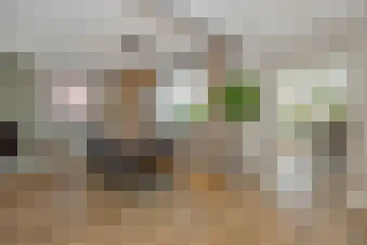 Frans Halsstraat 25 Heesch thumbnail 9