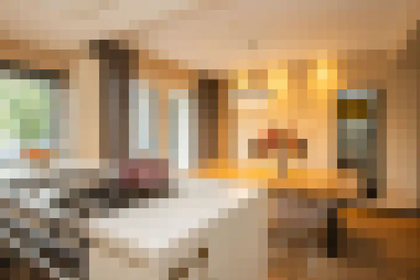 Frans Halsstraat 25 Oisterwijk thumbnail 12