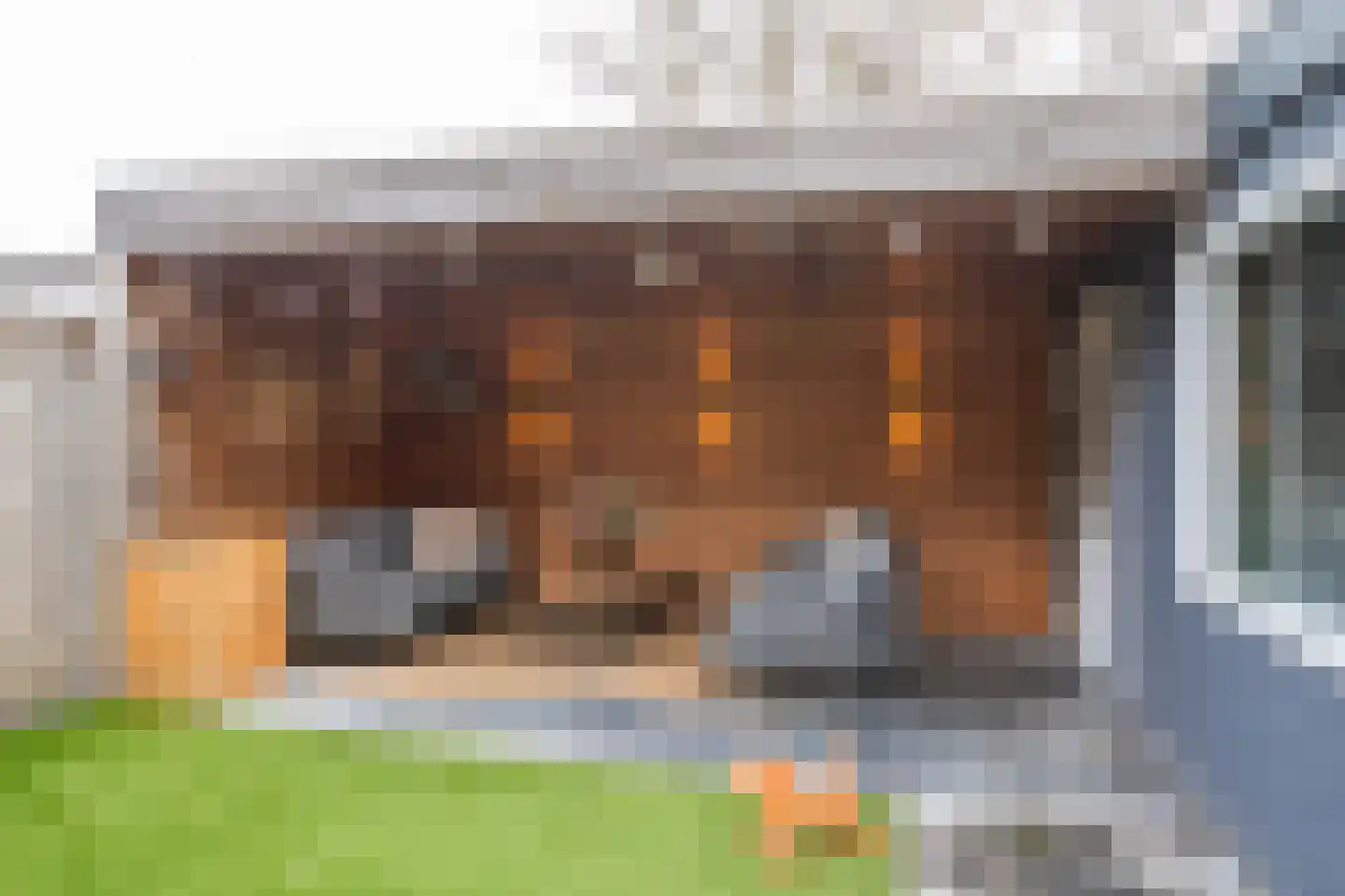 Frans Halsstraat 25 Oisterwijk thumbnail 26