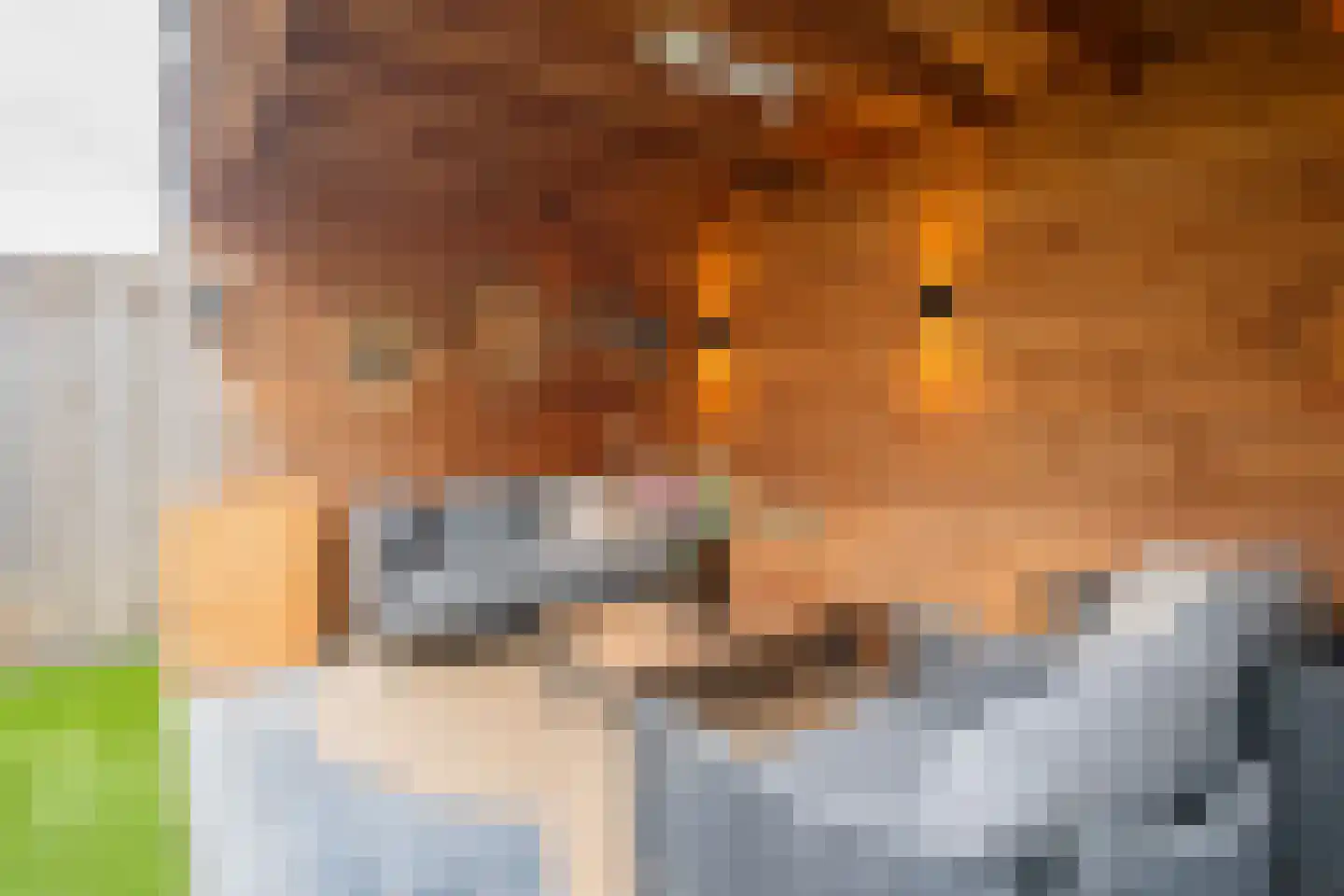 Frans Halsstraat 25 Oisterwijk thumbnail 27