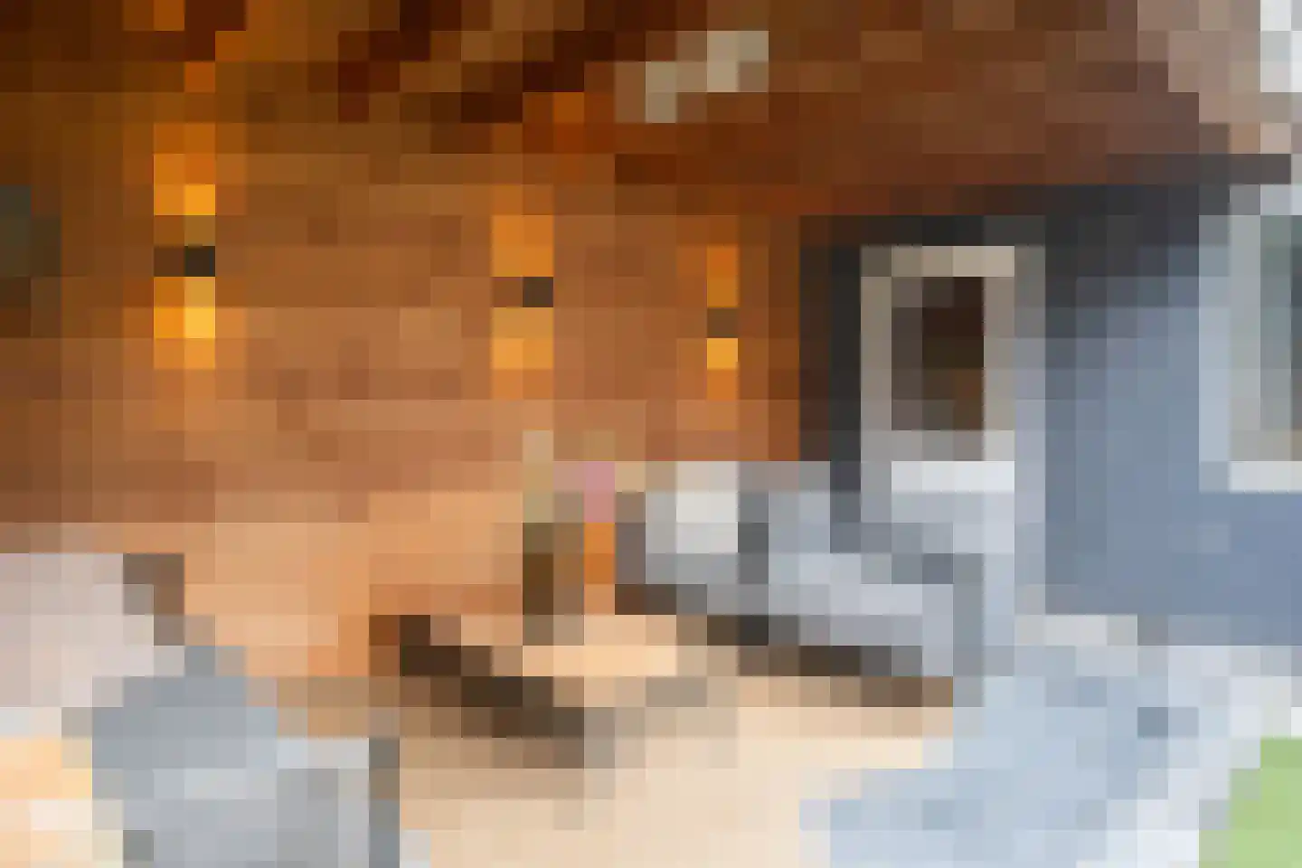 Frans Halsstraat 25 Oisterwijk thumbnail 32